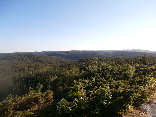 Utsikt sørvestover med den skogkldte Feiåsbergan t.v.