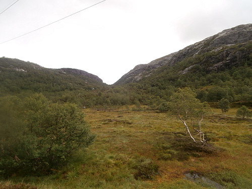 Litt myrete skogsterreng første stykket i Stølsdalen.