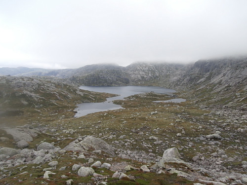 Nordre Dyrgrovtjørnane på 1006 moh.