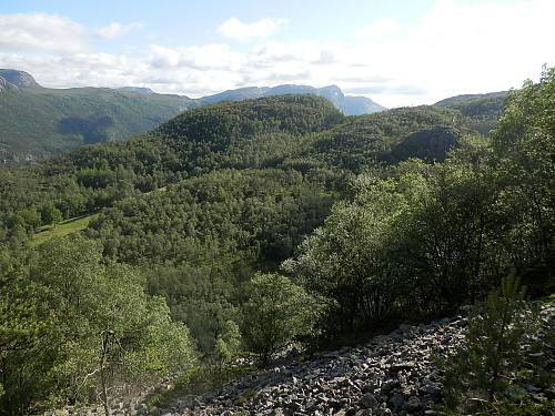 Steinur i sørvestsida av Kyrkjeleidfjellet. Ser mot Skorpefjellet med Reinaknuten bak.
