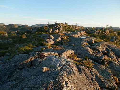På Svadbergfjellet som har trigpunkt/ jernbolt litt nord for toppunktet.