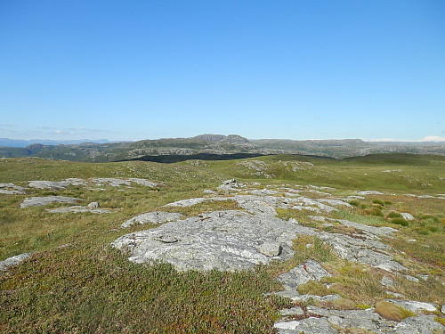 På Såteheia med utsikt nordaustover mot Brendeknuten 815.