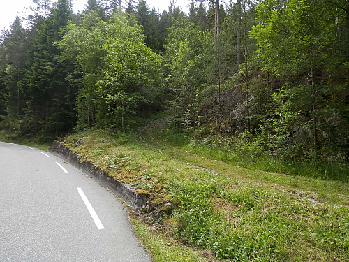 Begynte å gå på denne skogsvegen ca ein km frå Randøybrua.