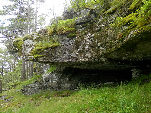 Gjekk forbi denne store steinhedla i austsida av Randåsen.