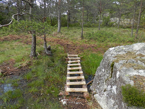 Utlagt treplanker over myrete parti på stien ned vestsida av Randåsen.