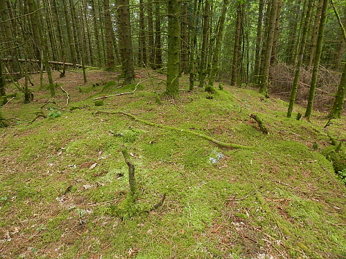 Toppområde inne i skogen på Hovdeåsen.