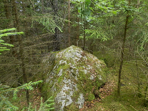 Det mulige toppunktet på denne steinen på Tømmeråsen.