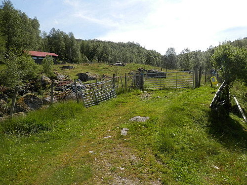 Begynte turen oppover denne traktorvegen på utmarksbeite.
