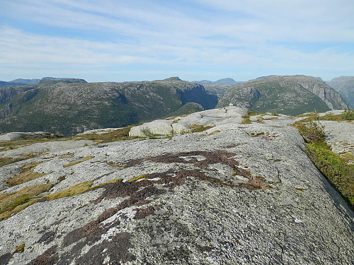 På  Nordraheia. Ser nordaust mot Skjølsknuten 837 og Napen 1350 bak litt t.h.                                                                                                                                                                                                                                                                                                                                                                                                                     