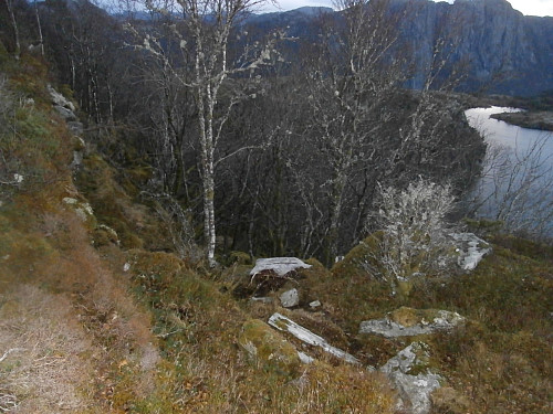 Tydelig dyretråkk ned i bratt skar på vestsida av Almåsen.
