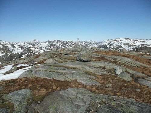 På Bergan med utsikt nordaustover.