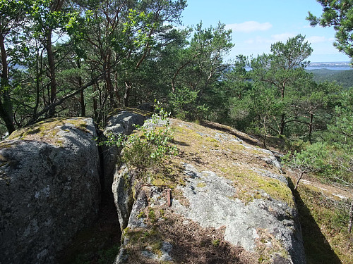 Toppunktet på Kattaborga. Jernbolten ses bak den litle bjørka midt i bildet.