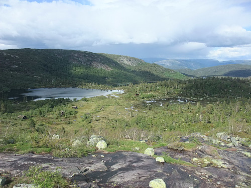 Oppstigninga mot Skammefjell. Nautetotjørna og Nautetofjellet i venstre bildehalvdel.