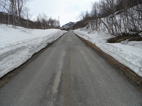 Brøyta anleggsveg langs Flatsølåna nord for Ådneram.