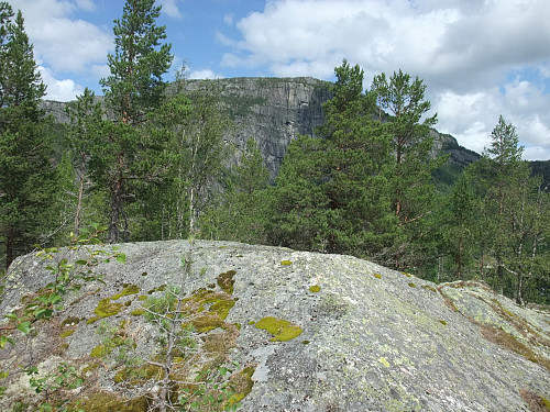 På toppen av Nonåsen 646 med Trydalsfjellet bak.
