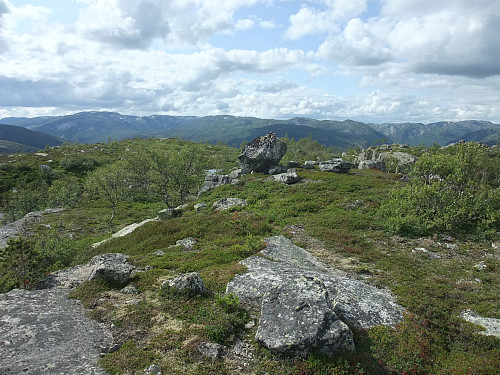Toppen av Trydalsfjellet som ikkje er særlig markert.