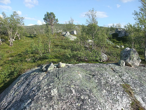 Trigpunkt med jernbolt på steinen foran. Trydalsfjellet i bakgrunnen.
