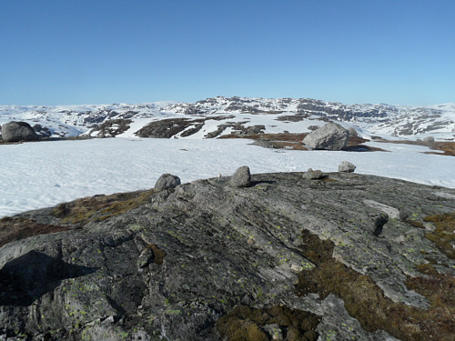 På Brattefjellskollen med utsikt nordover mot Dramreisknuten i bakgrunnen.