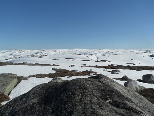 På 972-toppen mot Dansarfjellet i bakgrunnen.