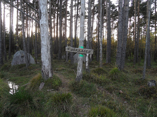 Turskilt mot Nokkåsen.