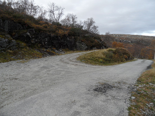 Vegen opp mot Lyngskaret.