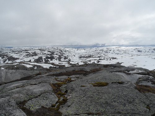 På Varmekroheias austre platå med utsikt sørover mot Tjodanvatn i bakgrunnen.