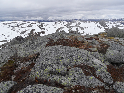 På Varmekroheia 1164 med trigpunkt/ jernbolt. Utsikt vestover.