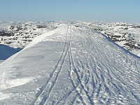 kolla_sam_0052.jpg