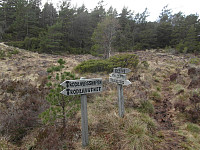 kolla_sam_0645.jpg
