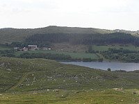 kolla_sam_1728.jpg