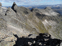 kolla_sam_2503.jpg