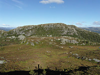 kolla_sam_2572.jpg