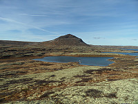 kolla_sam_3139.jpg