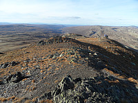 kolla_sam_3143.jpg