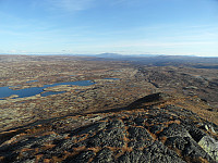 kolla_sam_3148.jpg