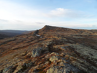 kolla_sam_3172.jpg