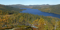 Hansi_20160302_56d6ce448b073.jpg