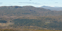 Hansi_20160302_56d6cf2d73853.jpg