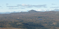 Hansi_20160302_56d6cf80cef64.jpg