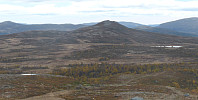 Hansi_20160302_56d6dfadd86f2.jpg
