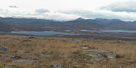 Hansi_20160302_56d6dfe12f426.jpg