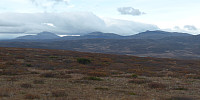 Hansi_20160302_56d6e07e36cf9.jpg