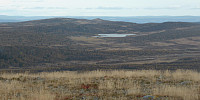 Hansi_20160302_56d6e0aa8950e.jpg
