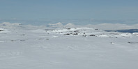 Hansi_20160417_5713f2148fe55.jpg