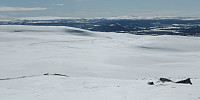 Hansi_20160417_5713f27727497.jpg
