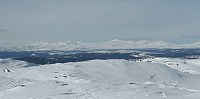 Hansi_20160417_5713f2e112560.jpg