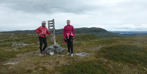 På Vestre Slagsfjellet