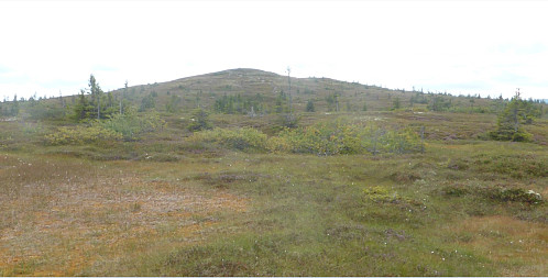 Hemmelfjellet fra nord
