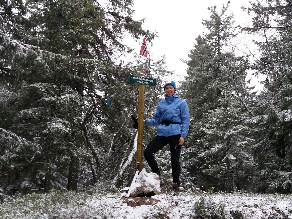 På Søndre Fjellsjøhøgda