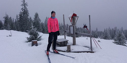 Kristine på utsiktspunktet på Brattberget